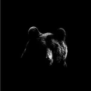 Shop Nu Art Print Beer BEAR-016